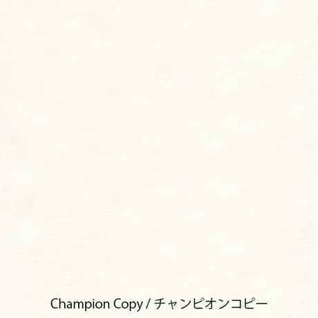 チャンピオンコピー　A4サイズ