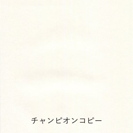 Paper tasting 書けるうす紙 Pen Friendly Onionskin vol.3