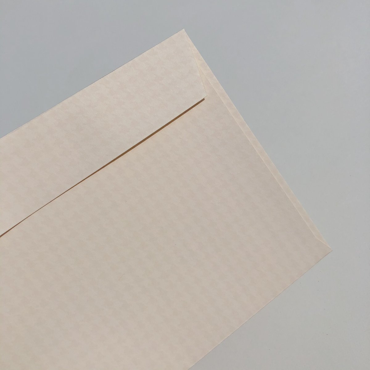 カマス封筒 オーディスうすねず | YAMAMOTO PAPER