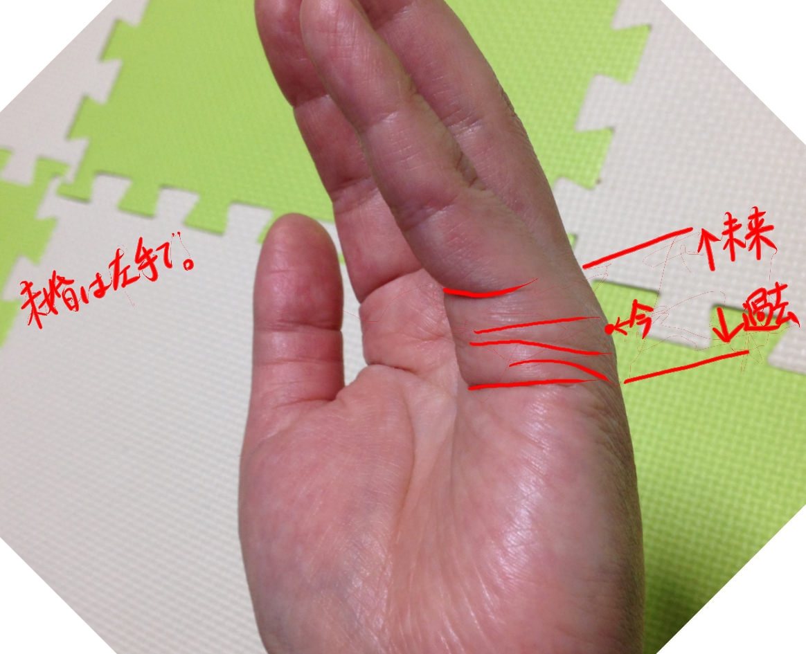 専用ページ　手相鑑定書 🔎手相鑑定士トッチー📖初書籍1万部挑戦中 (@masahiro919191) / X