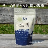 ＥＭてぃだの生塩（きしお）100ｇ2袋　送料込み