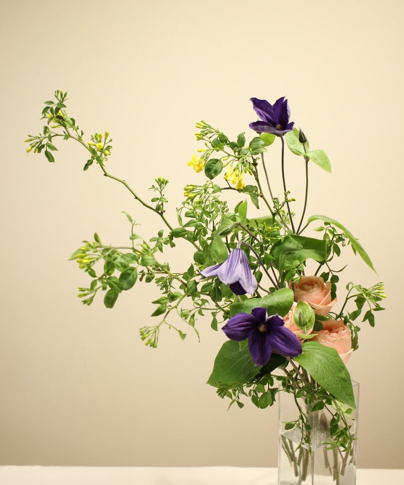 いけばな・草月流ほか花器６点セットプラケース入り いけばな・草月流ほか花器6点セットプラケース入り ショップ