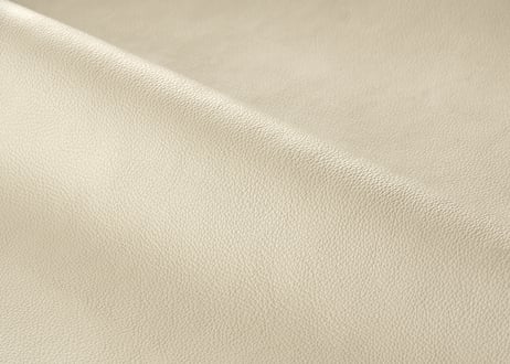 《LIONA》コンパクトカメラ用レザーカメラケース　Regular　《5colors》