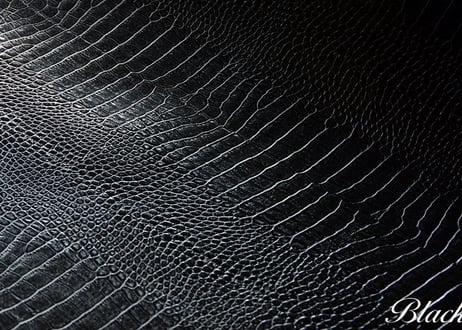 《LEO》Ｌ型ジップマルチケース《4colors》