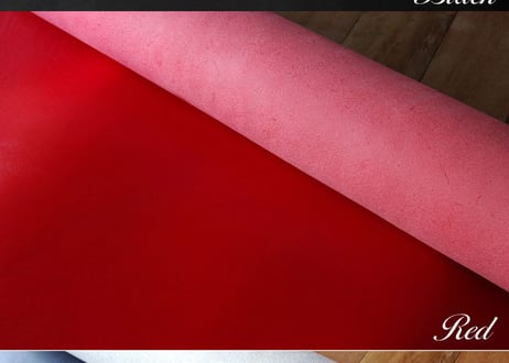 《ELMO》Ｌ型ジップマルチケース《3colors》