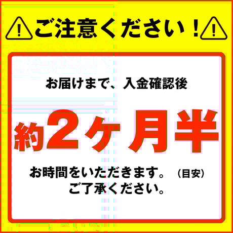 キャプテン翼カップ25＜明和FC フィールドプレイヤー＞（G522-578）