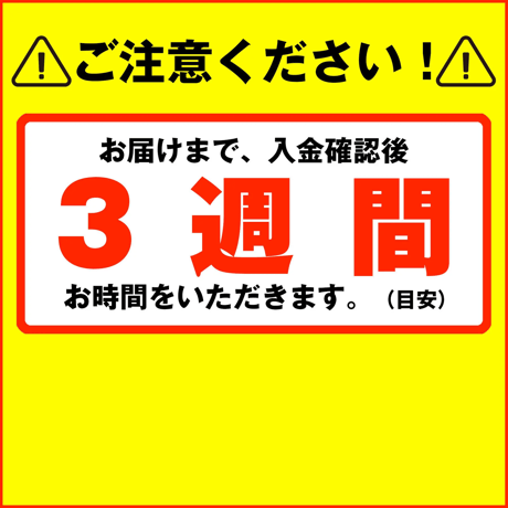 ドライポロシャツ<NANKATSU2.2>（G495-998）