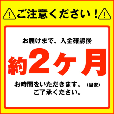 ［明和FC FP］キャプテン翼CUPかつしか2024 スペシャルマッチモデル（G442-618）