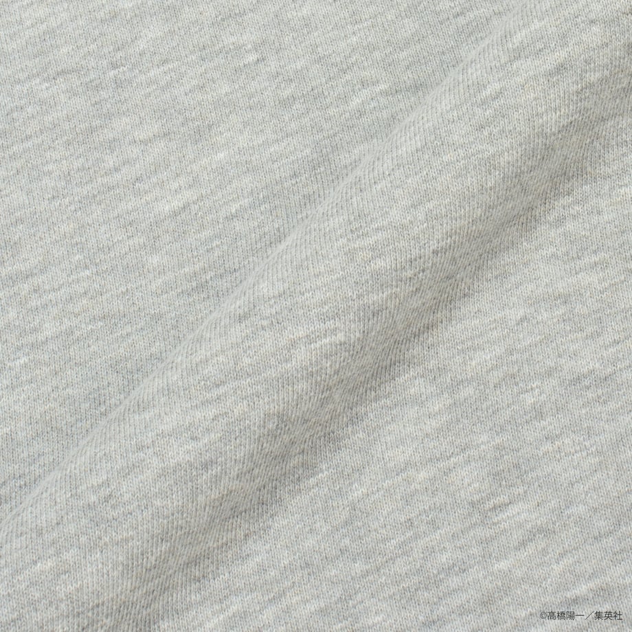 66c940741b359a0aeb2e4565