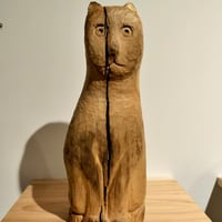 《くろねこ》柴辻健吾
