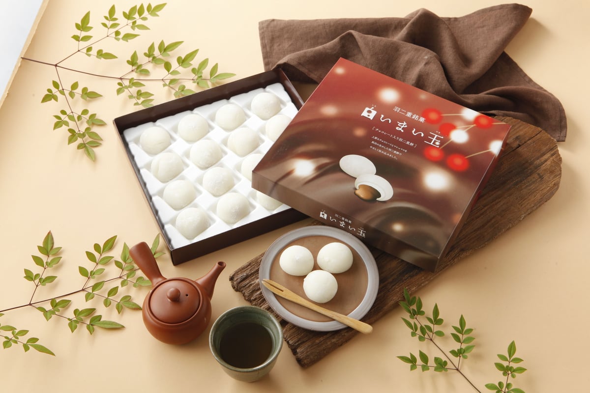 チョコレート入り羽二重餅（12個入り） | 羽二重餅の古里【マエダセイカ】