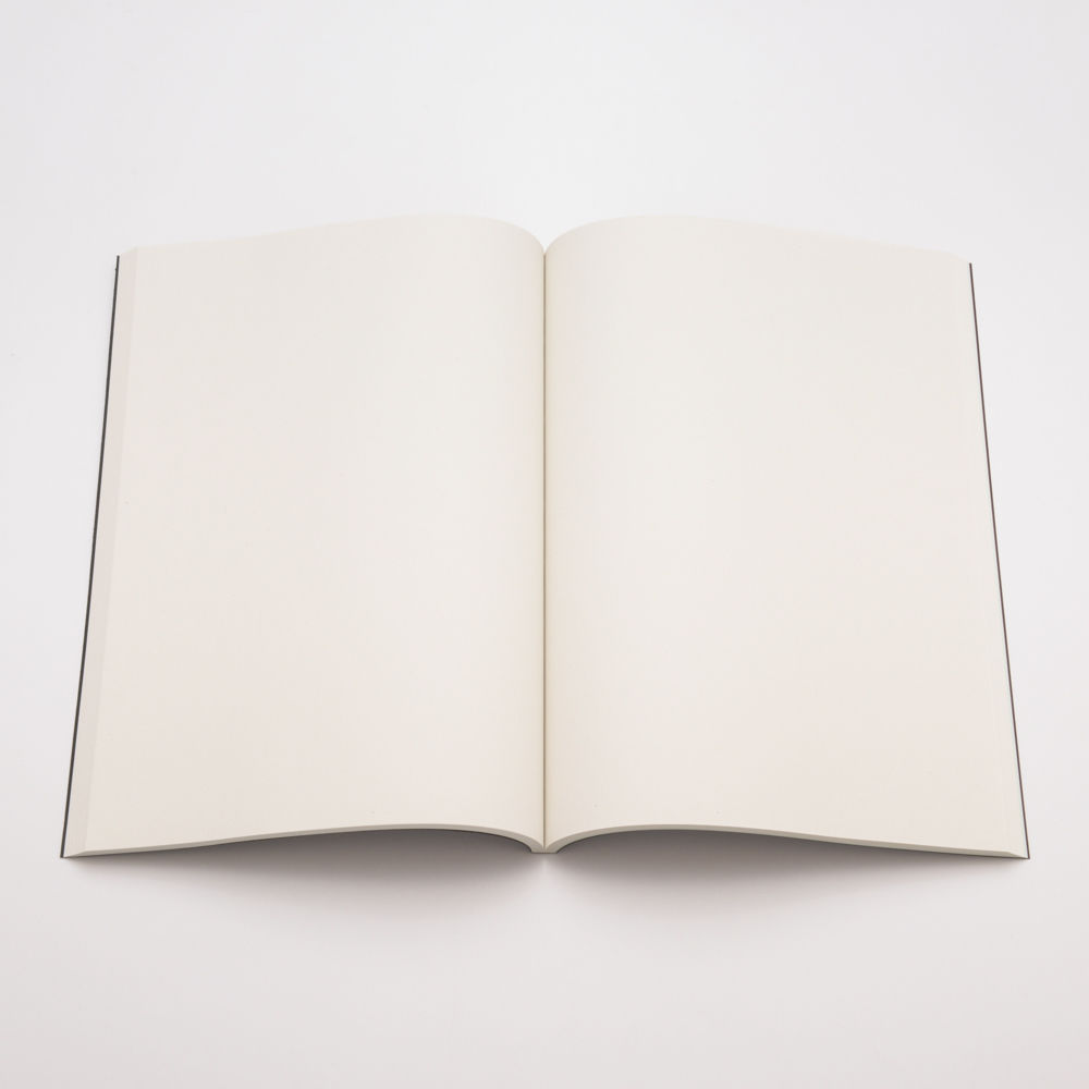 ゴジラvsビオランテ』台本ノート | DREAMPLANETJAPAN INC.