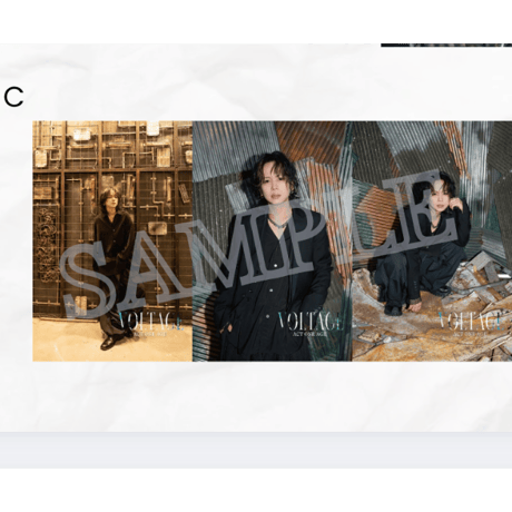 VOLTAGE MV公開記念フォトセット(特典付き)
