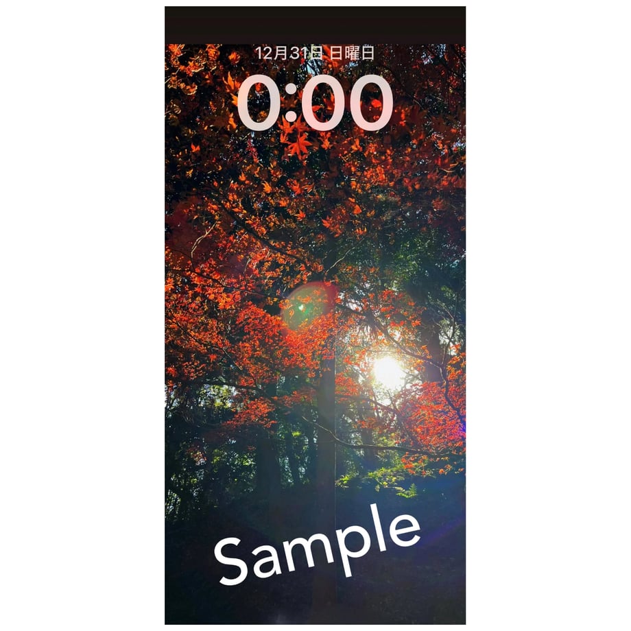65903f022ead3746ac83eefc