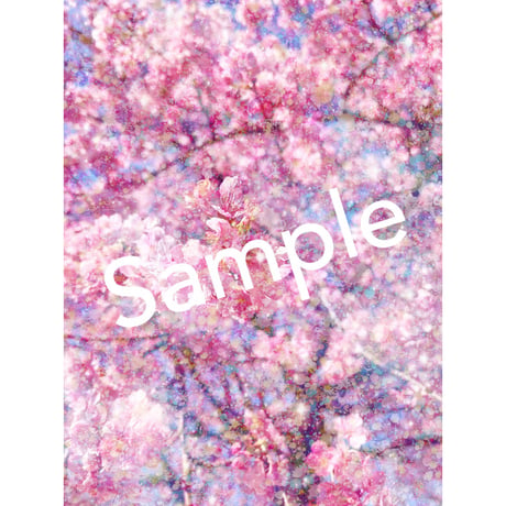 【Spring Shine 春の輝き】ときめきと愛溢れる人生の開花
