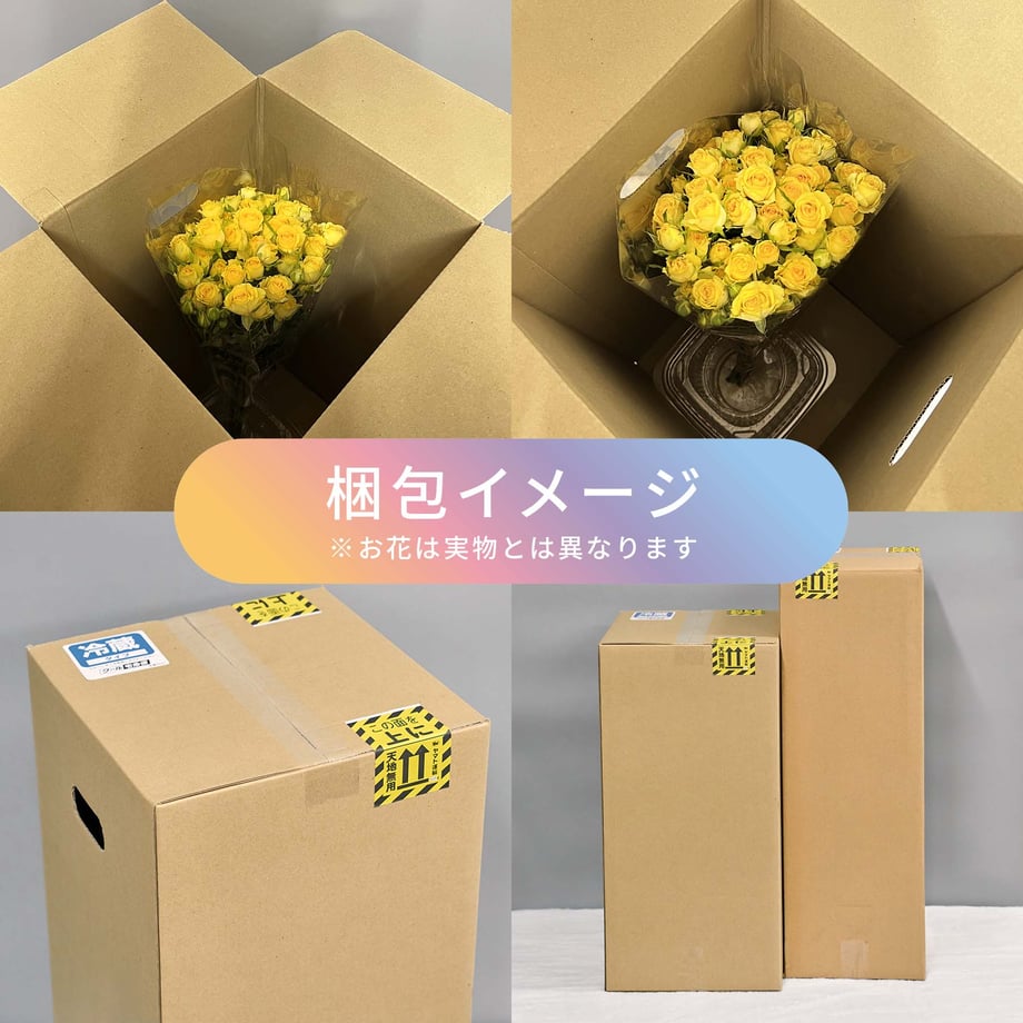 6780cd6cedfc4e0300e06d9b