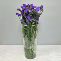 スターチス / バイオレット系 ＜30本＞
