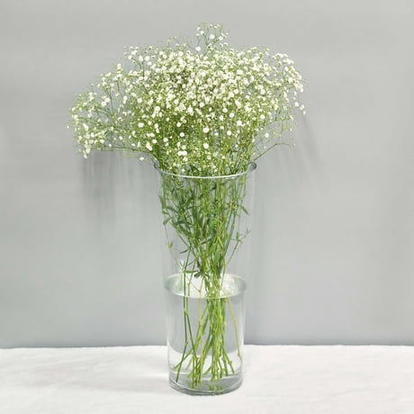 かすみそう | STORES