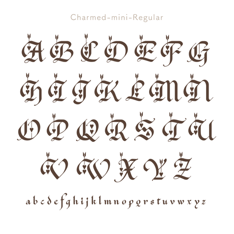 Charmed mini