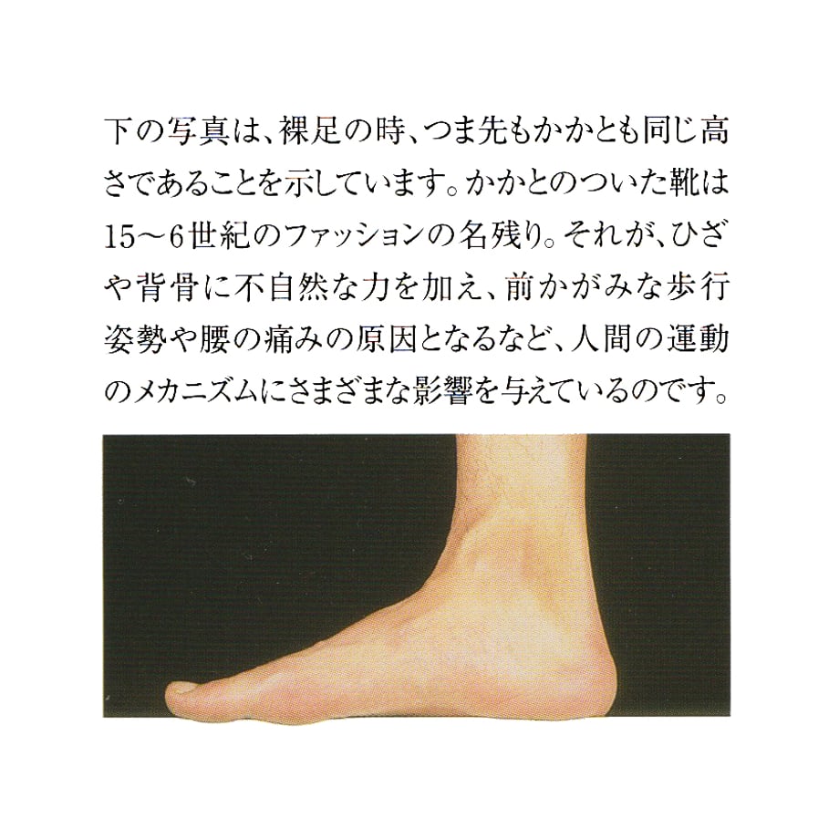 65ea8f91708109036664ff28