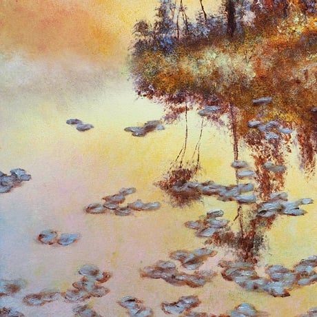 Water lily　-KOH-