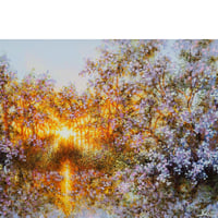 桜　-KOH-