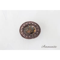 帯留＊ アンモナイト