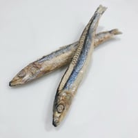 国産無添加プレミアムきびなごフリーズドライ