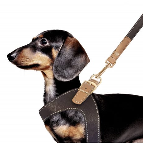 【即納】　Vendôme Leather Parachute Harness MaronCamel