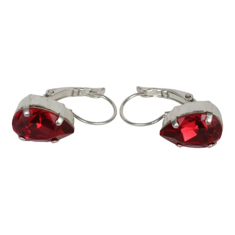 Art. A147N earrings Passion