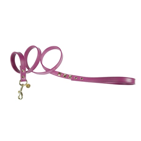 Art. h1519NV15 VIP leash Square rivet