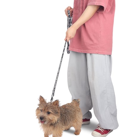 【即納】　Happy Bounce Dog Leash