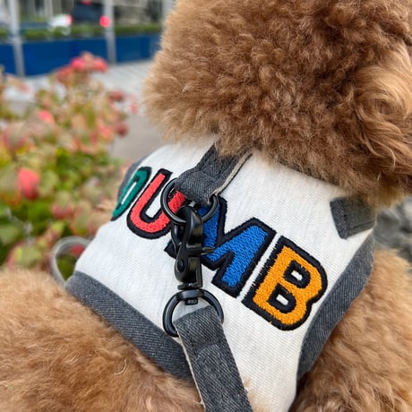 Jolly Dumb Harness Set