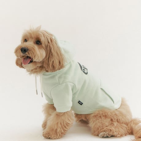 NEW LOGO BIG HOODIE-MINT