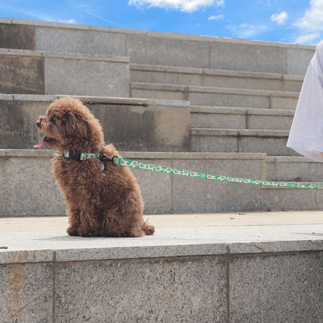 【即納】　Walk with dog_Plastic Bag