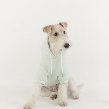 NEW LOGO BIG HOODIE-MINT