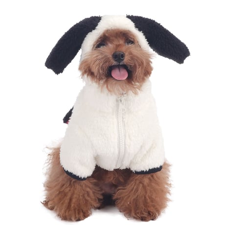 Lucky Dog Hat