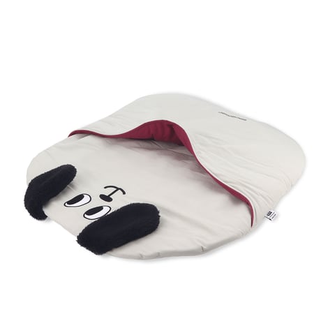 Lucky Dog Fogni