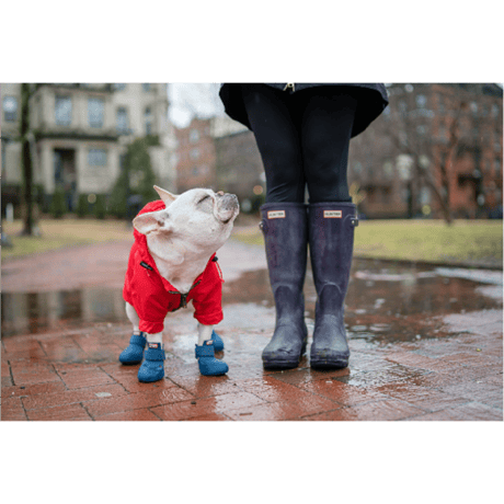 Wag Wellies by wagwear