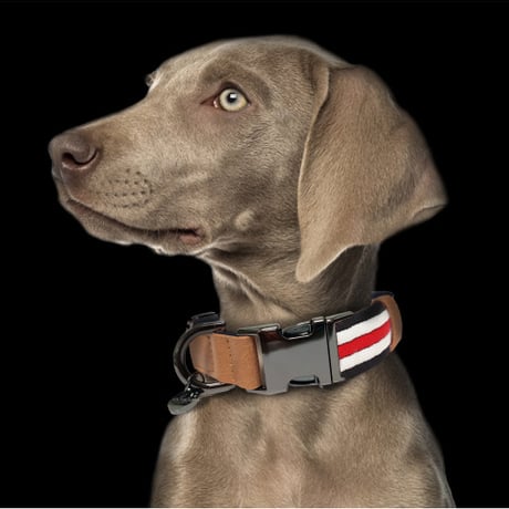 【即納】　Hertiage adjustable collar
