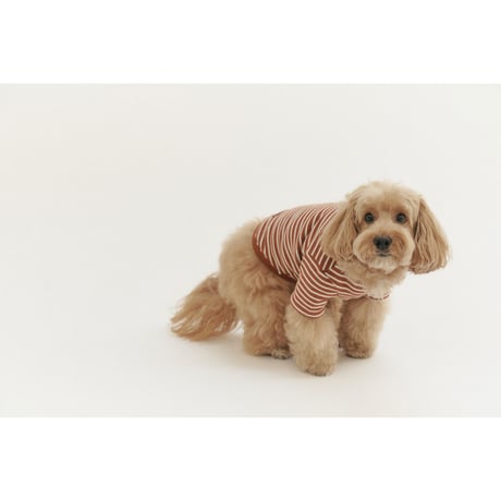 BUTTON SWEAT TEE-DARK ORANGE