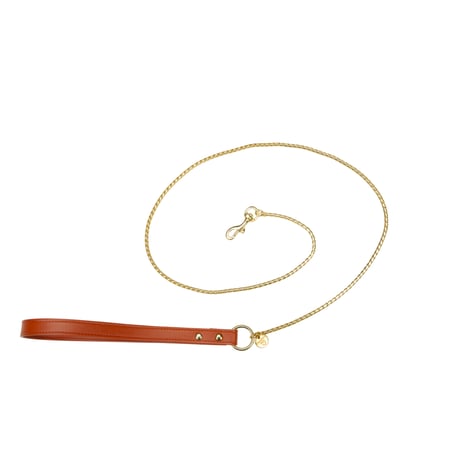 Art. h1583NO15 leash Snake(ゴールド仕様)