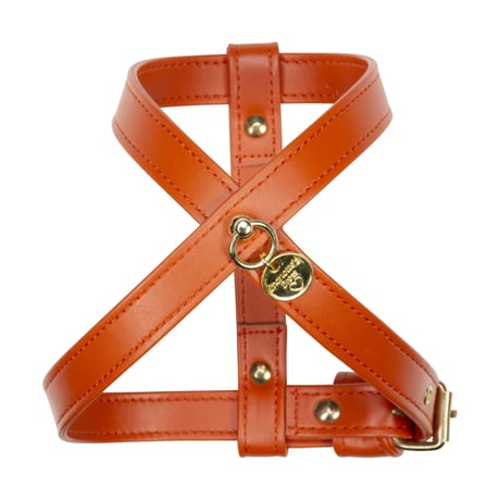 Art. g1566NO harness Hermes(ゴールド仕様)