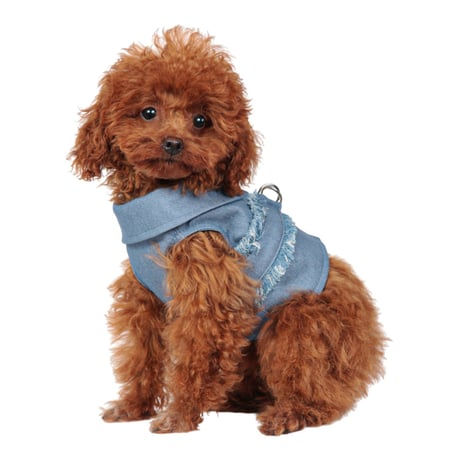Art. 9030 harness jacket Camy