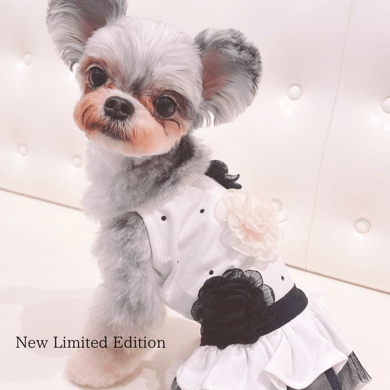 Special Romantic in flower dress【即納】 | Chuck's  春！花柄