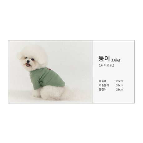 MINI WAPPEN TEE-LIGHT MINT
