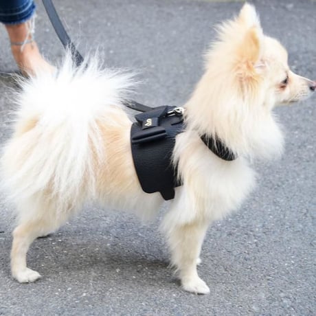 Bijou Dog Harness BLACK