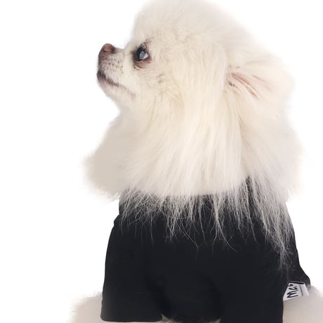 【即納】　The Dog Walker Club Sleeve Tee for Dog