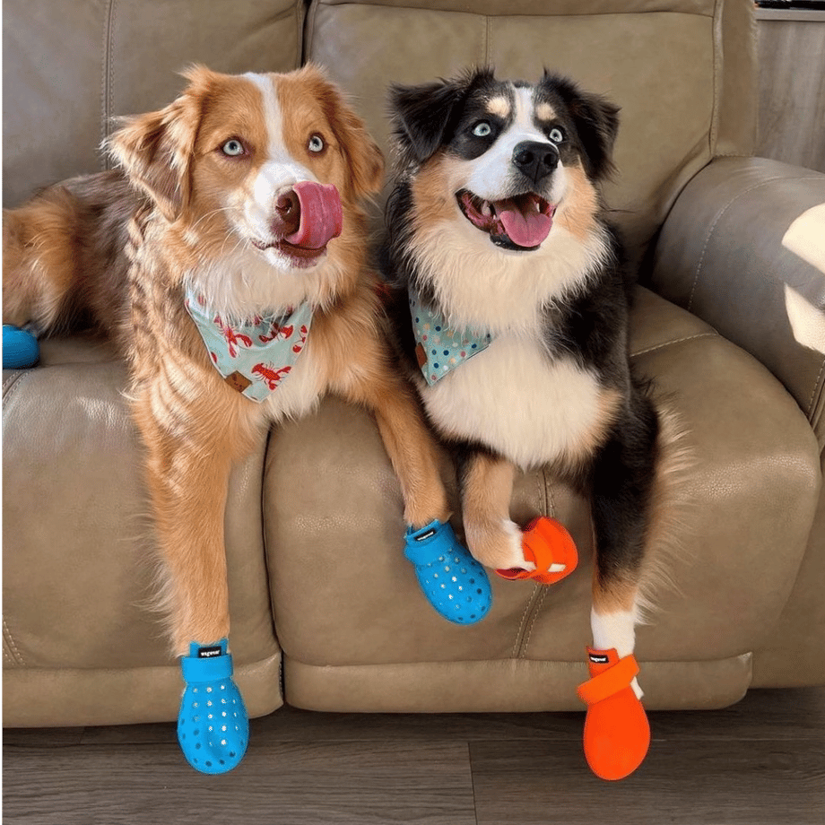 6340e97a4aed1955bbb6876d