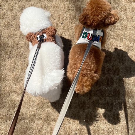 Jolly Dumb Harness Set